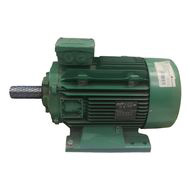 Электродвигатель Leroy Somer 2P LSES 160MP