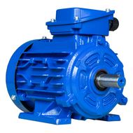Электродвигатель ET-АИР 80B2 IM1081 (2.2кВт, 2930 об.мин., ГОСТ, IP55)