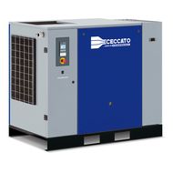 Винтовой компрессор Ceccato CSM 25D 10 400/50 CE