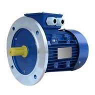 Электродвигатель 5АИ / АИР 112 МВ6 4/1000 IM 3081