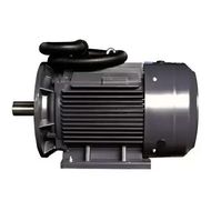 Электродвигатель компрессора Remeza / Ремеза BK20 (15кВт, 3000 об.мин, IEC/DIN, IE2/IE3, IP55)