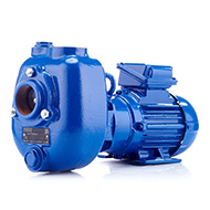 Самовсасывающий насос Varisco JE 2-100 G10 NT20