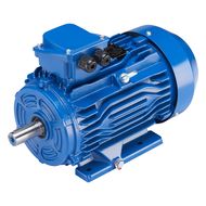 Электродвигатель ET-АИР 100L2 IM1081 (5.5кВт, 3000 об.мин., ГОСТ, IP55)