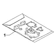 101040537 Комплект прокладок для MOSA MSG CHOPPER, MSG200S, MS200