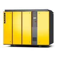 Винтовой компрессор Kaeser DSG 180-2 10