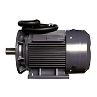 Электродвигатель компрессора Dali DL-11 (11кВт, 3000 об.мин, IEC/DIN, IE2/IE3, IP55)