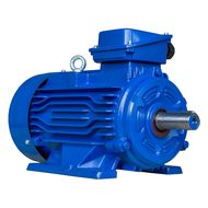 Электродвигатель ET-АИР 100S2 IM1081 (4кВт, 2880 об.мин., ГОСТ, IP55)