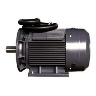 Электродвигатель компрессора BERG BK18.5 (18,5кВт, 3000 об.мин, IEC/DIN, IE2/IE3, IP55)