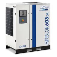 Винтовой компрессор Fiac AIRBLOK AX603DR-SD DRY 10