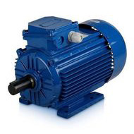 4042101101 Электродвигатель АИР132М2У2-220/380-50IM1081-Р.К.В.К31Е-ААА для Remeza / Ремеза