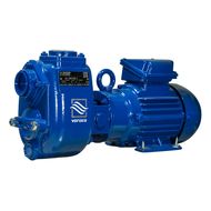 Самовсасывающий насос Varisco JE 1-110 G10 NT20