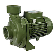 Насос моноблочный c резьбовыми раструбами SAER BP 6A 230V