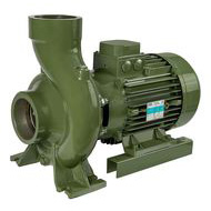 Насос моноблочный c резьбовыми раструбами SAER BP 15A 400V