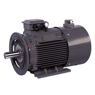 Электродвигатель ET-JPM132S30-5.5 B3  SF1.00 (5,5 кВт, 3000 об.мин., IEC/DIN, IP55)