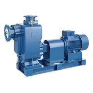 Самовсасывающий насос на раме PURITY PZWM 50-20-15/2