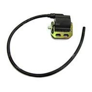 101301890 Электронное зажигание (модуль зажигания) для MOSA MSG CHOPPER, MSG200S, MS200