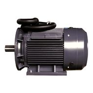 Электродвигатель ET-YE2-80M1-2 B35  SF1.00 (0,75 кВт, 2830 об.мин., IEC/DIN, IE2, IP55)