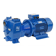 Самовсасывающий насос Varisco JE 3-240 G10 FT20