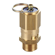 С415.02.02.100-01 Клапан предохранительный 12 АТМ