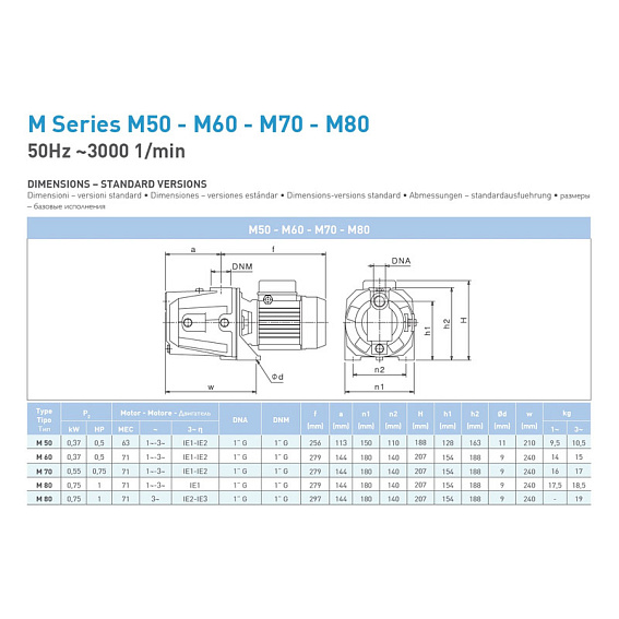 Самовсасывающий насос SAER M 50, 400 В Самовсасывающий насос SAER M 50, 400 В