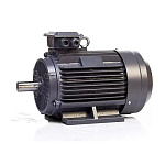 Электродвигатель компрессора BERG BK22 (22кВт, 3000 об.мин, IEC/DIN, IE2/IE3, IP55)