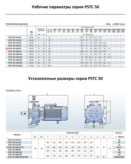 Консольно-моноблочный фланцевый насос PURITY PSTC 50-160/75 (N) Консольно-моноблочный фланцевый насос PURITY PSTC 50-160/75 (N)