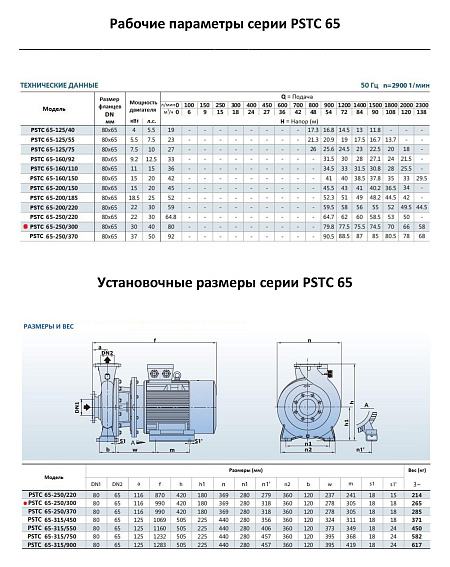 Консольно-моноблочный фланцевый насос PURITY PSTC 65-250/300 (N) Консольно-моноблочный фланцевый насос PURITY PSTC 65-250/300 (N)