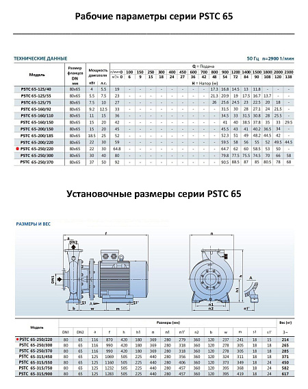 Консольно-моноблочный фланцевый насос PURITY PSTC 65-250/220 (N) Консольно-моноблочный фланцевый насос PURITY PSTC 65-250/220 (N)