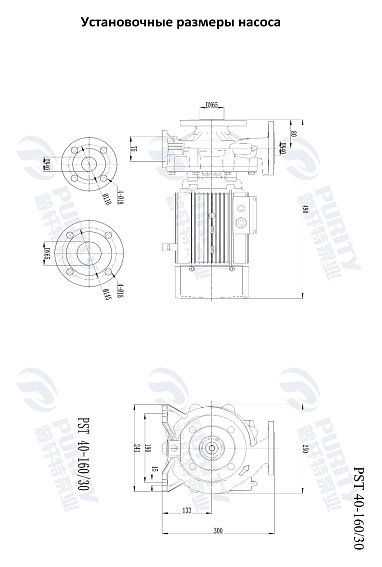 Консольно-моноблочный фланцевый насос PSTG 40-160/30 (N) Консольно-моноблочный фланцевый насос PSTG 40-160/30 (N)