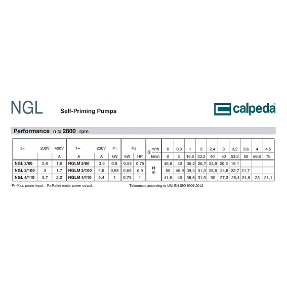 Самовсасывающий насос Calpeda NGL 4/110 230/400/50 Hz Самовсасывающий насос Calpeda NGL 4/110 230/400/50 Hz
