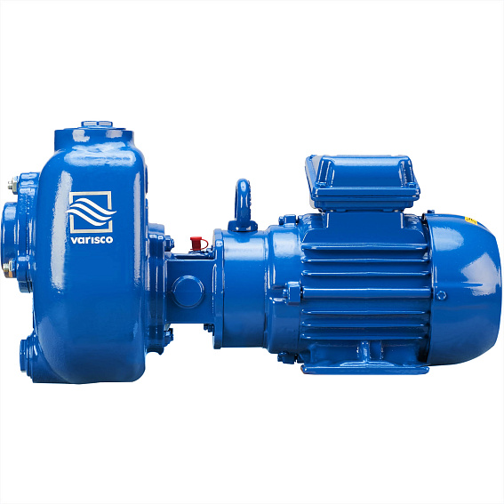 Самовсасывающий насос Varisco JE 2-100 G10 NT20 Самовсасывающий насос Varisco JE 2-100 G10 NT20