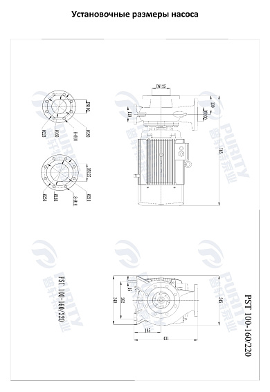 Консольно-моноблочный фланцевый насос PSTG 100-160/220 (N) Консольно-моноблочный фланцевый насос PSTG 100-160/220 (N)