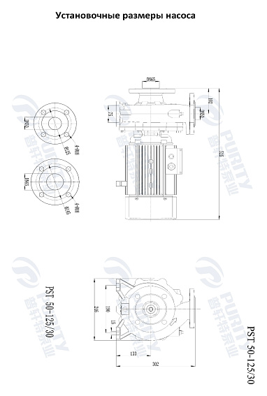 Консольно-моноблочный фланцевый насос PSTG 50-125/30 (N) Консольно-моноблочный фланцевый насос PSTG 50-125/30 (N)