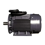 Электродвигатель компрессора Dali DL-18.5 (18,5кВт, 3000 об.мин, IEC/DIN, IE2/IE3, IP55)