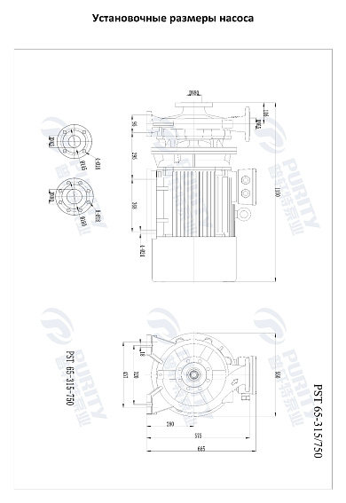 Консольно-моноблочный фланцевый насос PSTG 65-315/750 (N) Консольно-моноблочный фланцевый насос PSTG 65-315/750 (N)