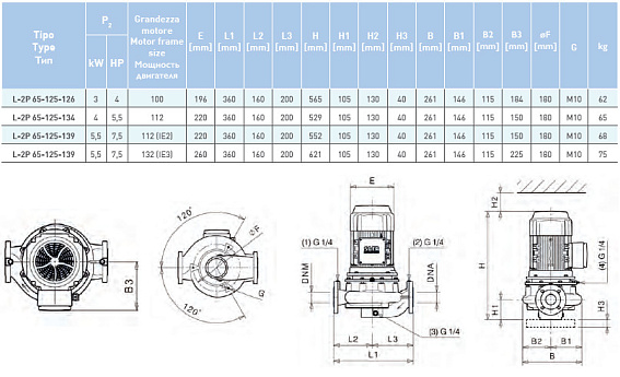 Циркуляционный насос In-Line SAER L-2P 65-125-139 Циркуляционный насос In-Line SAER L-2P 65-125-139