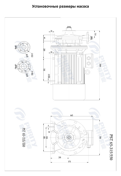 Консольно-моноблочный фланцевый насос PSTG 65-315/550 (N) Консольно-моноблочный фланцевый насос PSTG 65-315/550 (N)