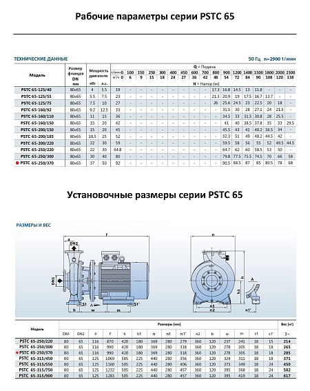 Консольно-моноблочный фланцевый насос PURITY PSTC 65-250-370 (N) Консольно-моноблочный фланцевый насос PURITY PSTC 65-250-370 (N)