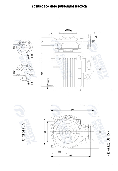 Консольно-моноблочный фланцевый насос PSTG 65-250/300 (N) Консольно-моноблочный фланцевый насос PSTG 65-250/300 (N)