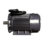 Электродвигатель компрессора Remeza / Ремеза BK100 (75кВт, 3000 об.мин, IEC/DIN, IE2/IE3, IP55)