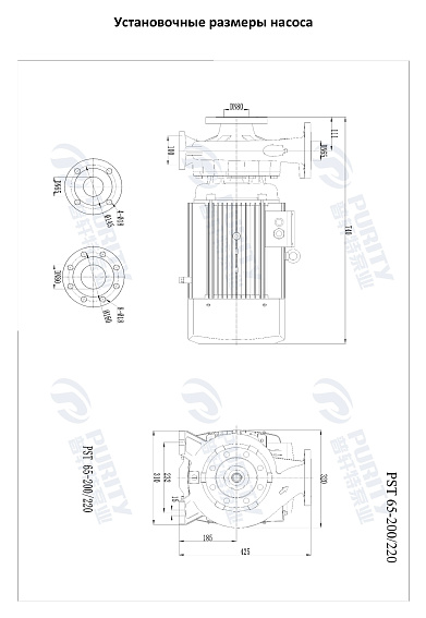 Консольно-моноблочный фланцевый насос PSTG 65-200/220 (N) Консольно-моноблочный фланцевый насос PSTG 65-200/220 (N)