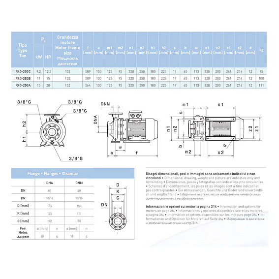 Насосный агрегат моноблочный фланцевый SAER IR 40-250B Насосный агрегат моноблочный фланцевый SAER IR 40-250B