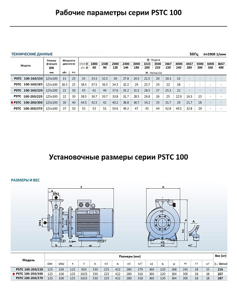 Консольно-моноблочный фланцевый насос PURITY PSTC 100-200/300 (N) Консольно-моноблочный фланцевый насос PURITY PSTC 100-200/300 (N)