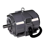 Электродвигатель компрессора Dali DL-18.5 (18.5кВт, 3000 об.мин, IEC/DIN, IP23)