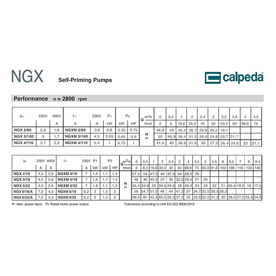 Самовсасывающий насос Calpeda NGX 6/22 230/400/50 Hz Самовсасывающий насос Calpeda NGX 6/22 230/400/50 Hz