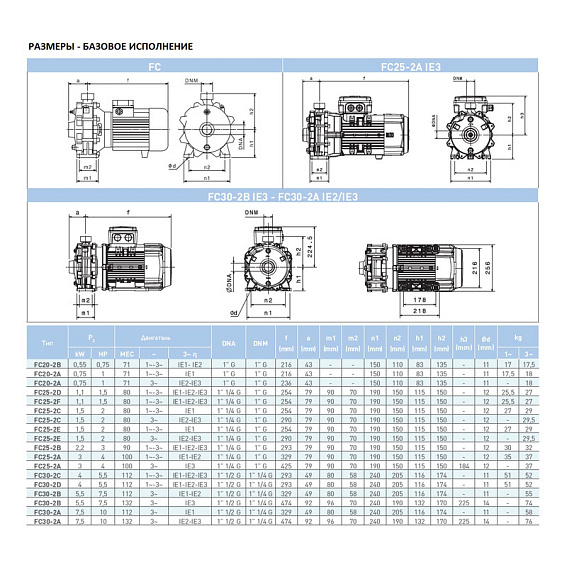Насос моноблочный двуступенчатый c резьбовыми раструбами SAER FC 25-2F 230V Насос моноблочный двуступенчатый c резьбовыми раструбами SAER FC 25-2F 230V
