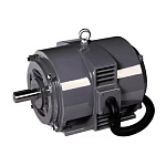 Электродвигатель компрессора BERG BK22 (22кВт, 3000 об.мин, IEC/DIN, IP23)