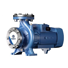 Моноблочный насос PURITY PW 100-125/75