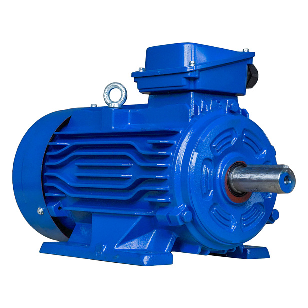 Электродвигатель ET-АИР 100S2 IM1081 (4кВт, 2880 об.мин., ГОСТ, IP55)