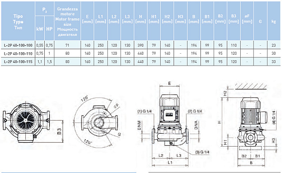 Циркуляционный насос In-Line SAER L-2P 40-100-100 Циркуляционный насос In-Line SAER L-2P 40-100-100